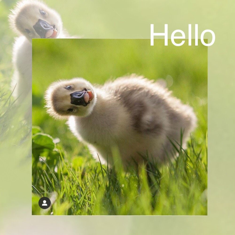 User ID : 355790