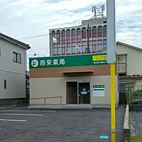 Show profile photo