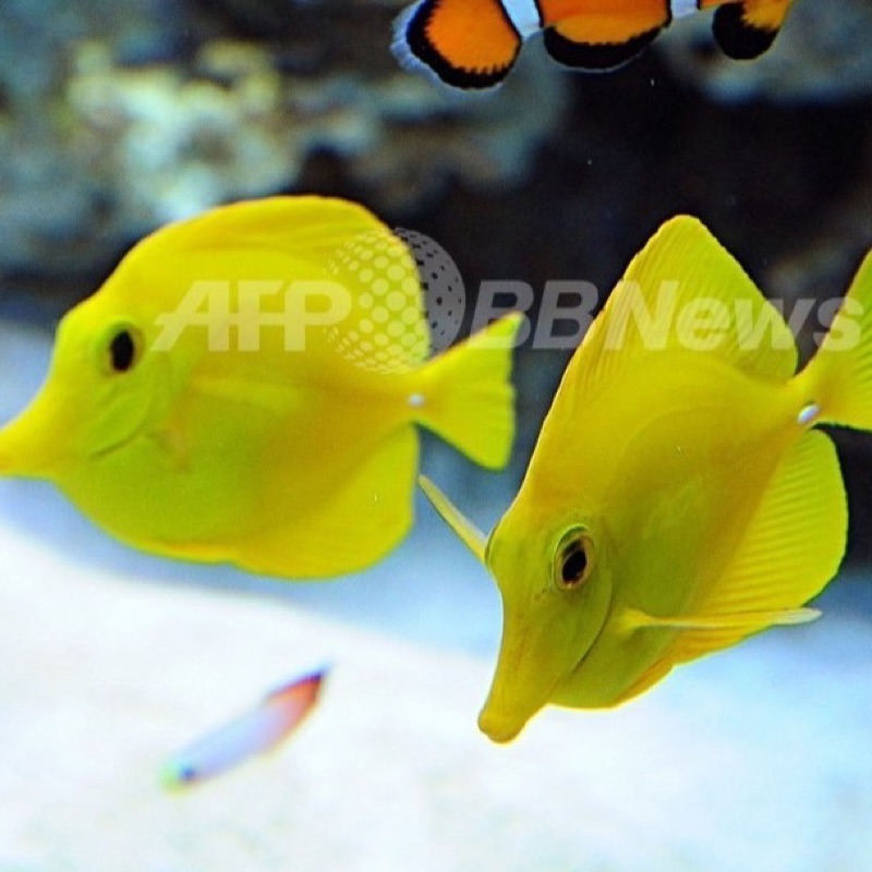 用戶77773473的头像-零度霧化