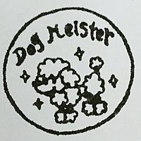 Show profile photo