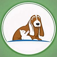 Show profile photo