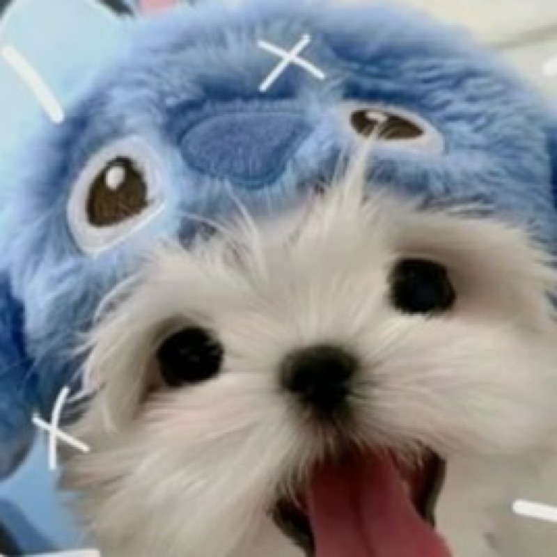 美羽