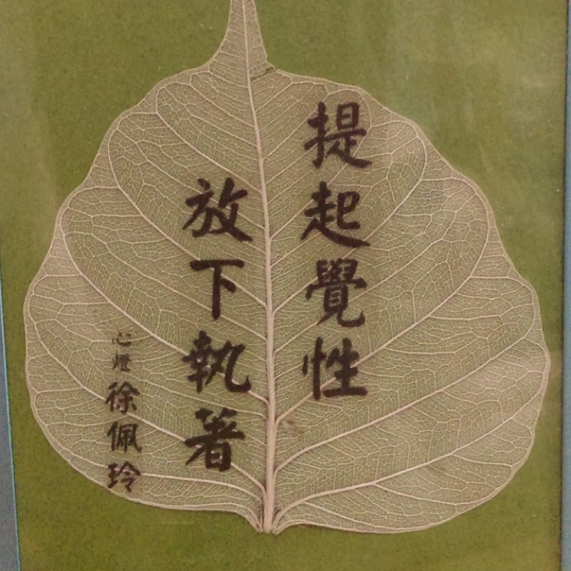 徐佩玲（傳格）
