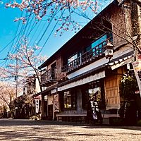 Show profile photo