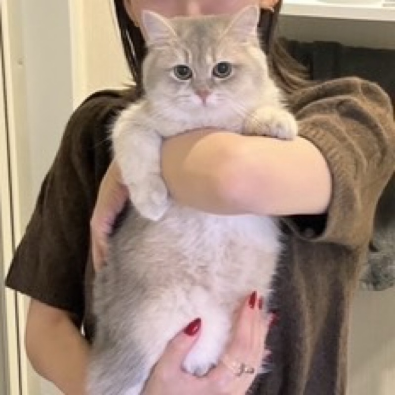ゆい