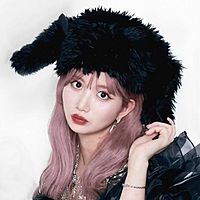 Show profile photo