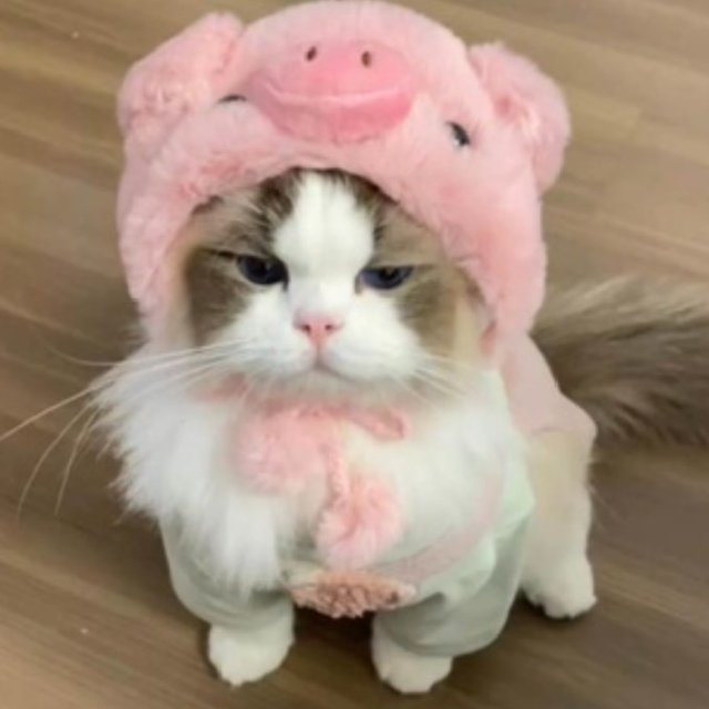 An Image