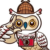 Show profile photo