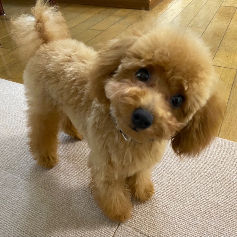 KUMI