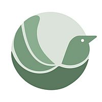 Show profile photo