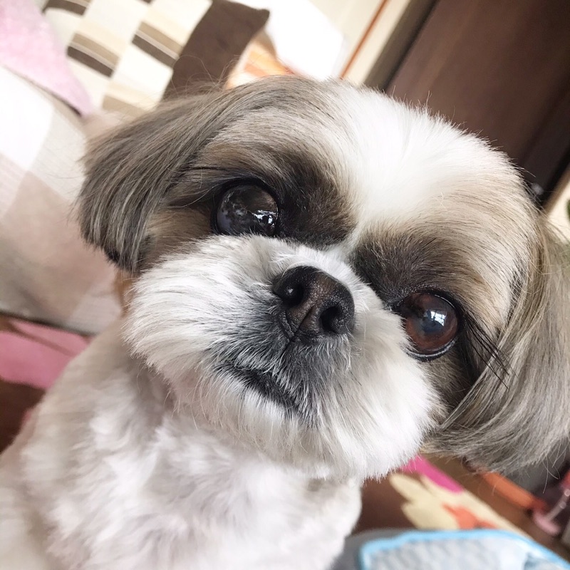 Reikoたにむら
