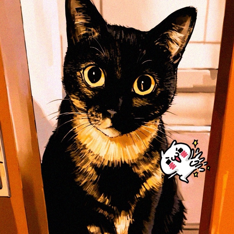 白茶愛🐈‍⬛