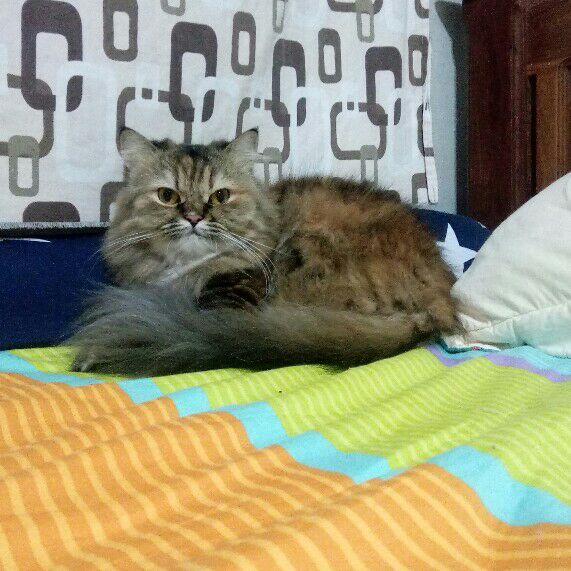 กัญญานัฐ (แบม)