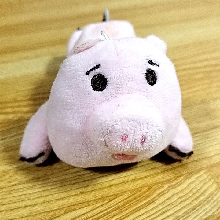 t.sのアイコン
