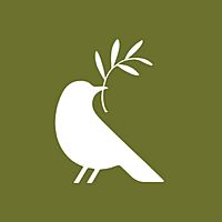 Show profile photo