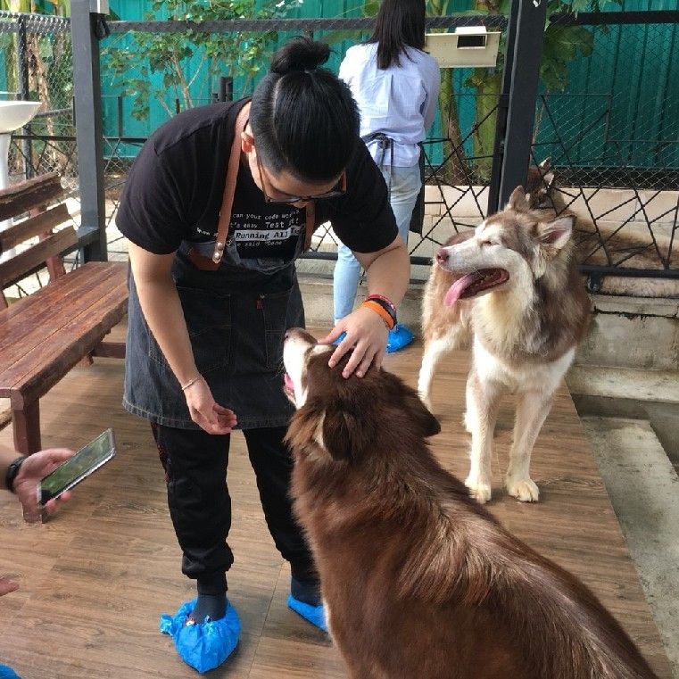 ฟร้อง