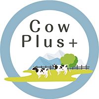 Show profile photo