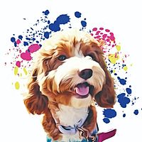 Show profile photo