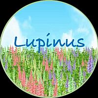 Show profile photo
