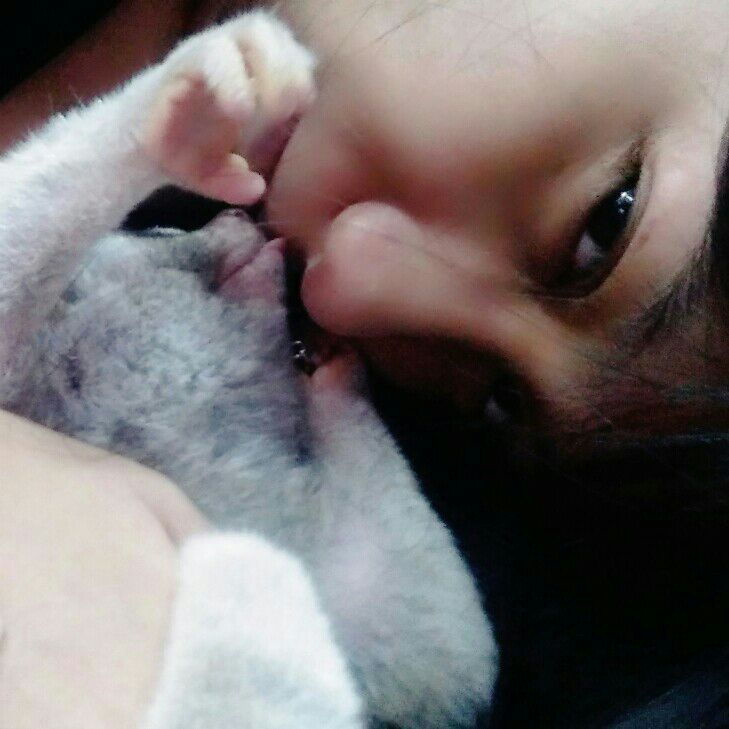 ทัต