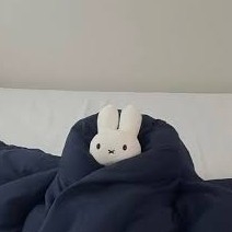 もここ