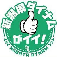 Show profile photo