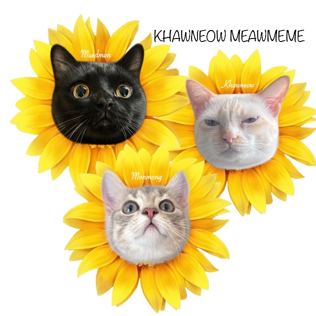 An Image