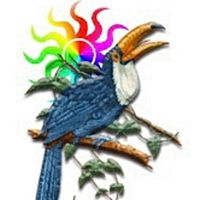 Show profile photo