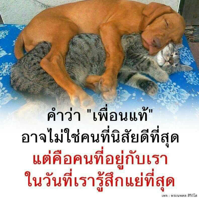 ทัด