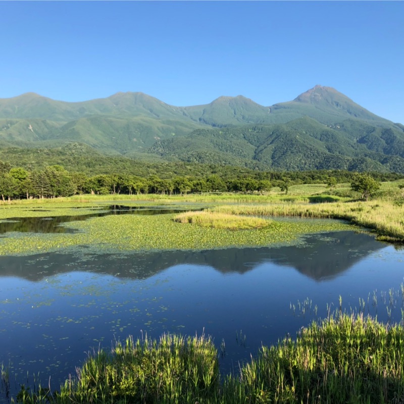 張倉旗 Steve Chang的頭像