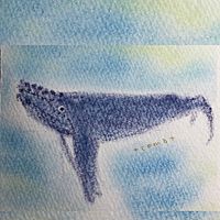 Show profile photo