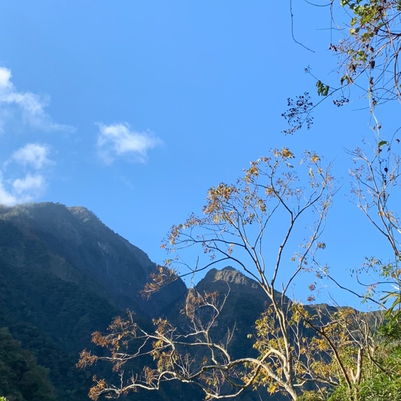 高銘茂的頭像