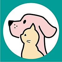 Show profile photo
