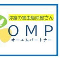 Show profile photo