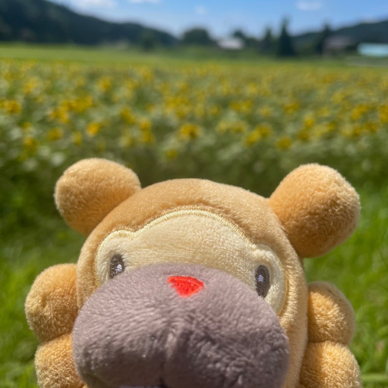 みお