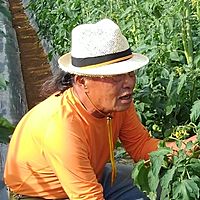 Show profile photo