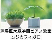 Show profile photo