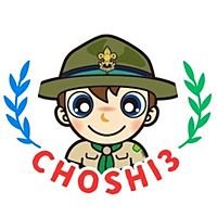 Show profile photo