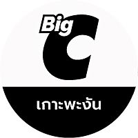 Show profile photo