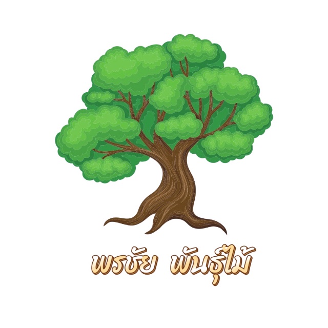 An Image