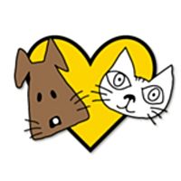 Show profile photo