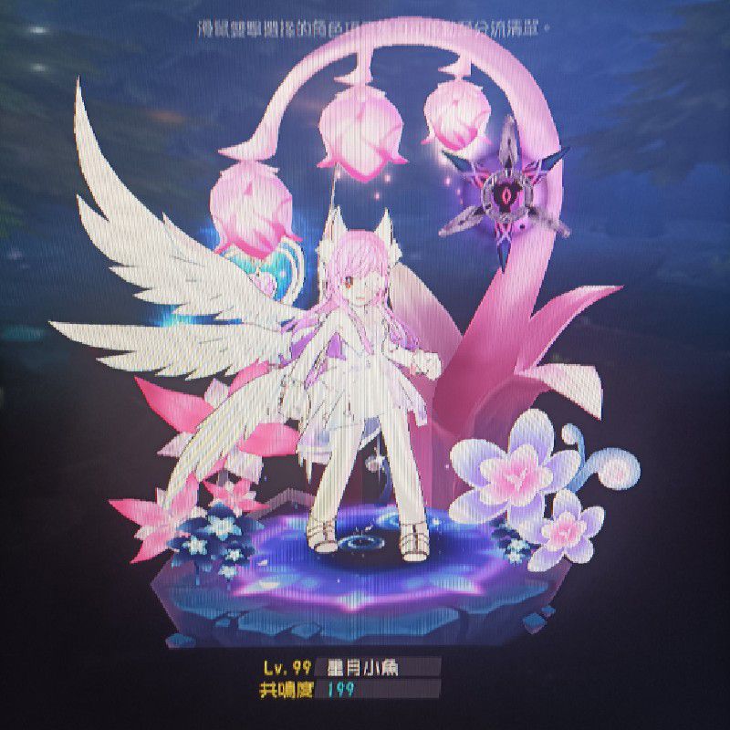 小魚