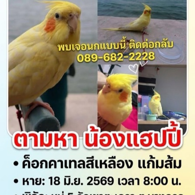 อุ้ย