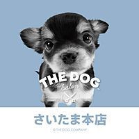 Show profile photo