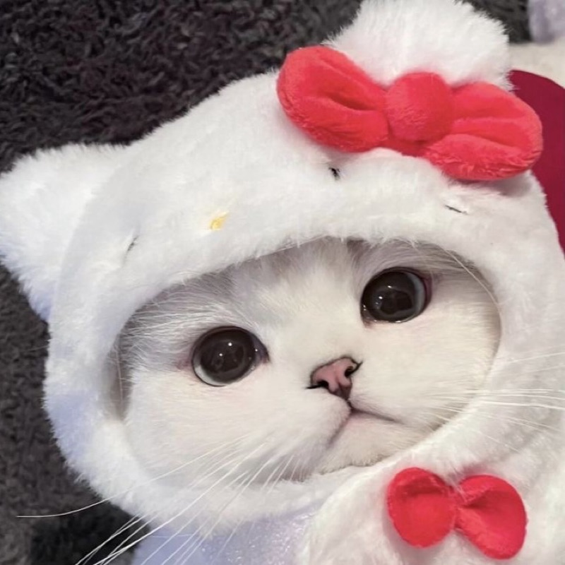 ゆい