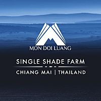 Mon Doi Luang