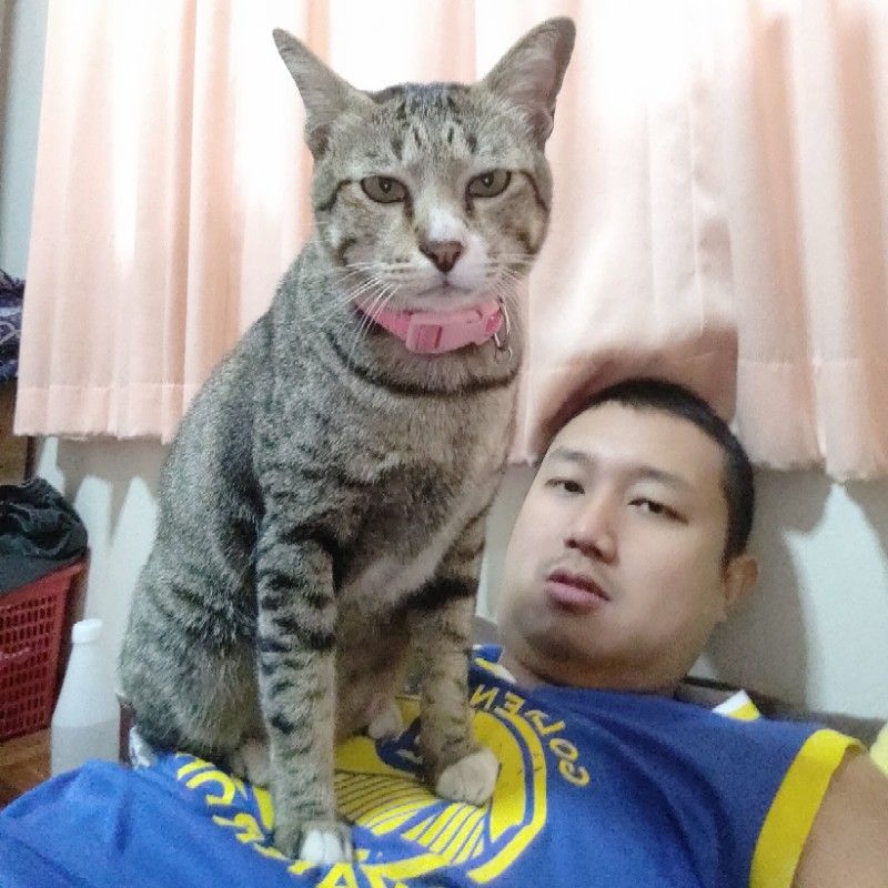 ไทเกอร์