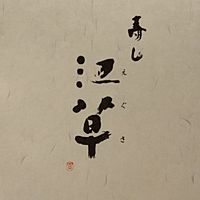 Show profile photo