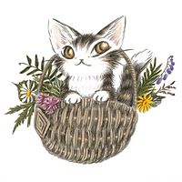 Show profile photo
