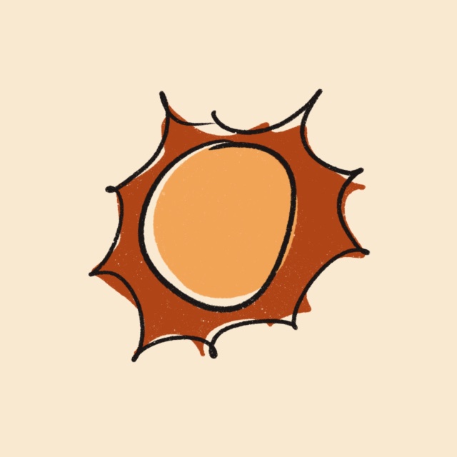An Image
